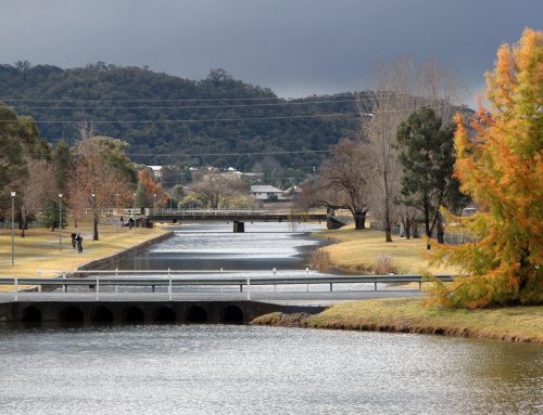Things to do in Stanthorpe – Walk Quart Pot Creek Parklands